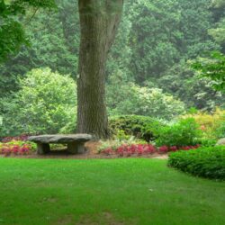 Bartlett Arboretum & Gardens