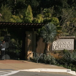 UC Berkeley Botanical Garden