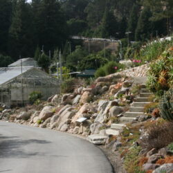 UC Berkeley Botanical Garden