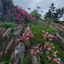 2026 Far Reaches Botanical Conservancy Tour