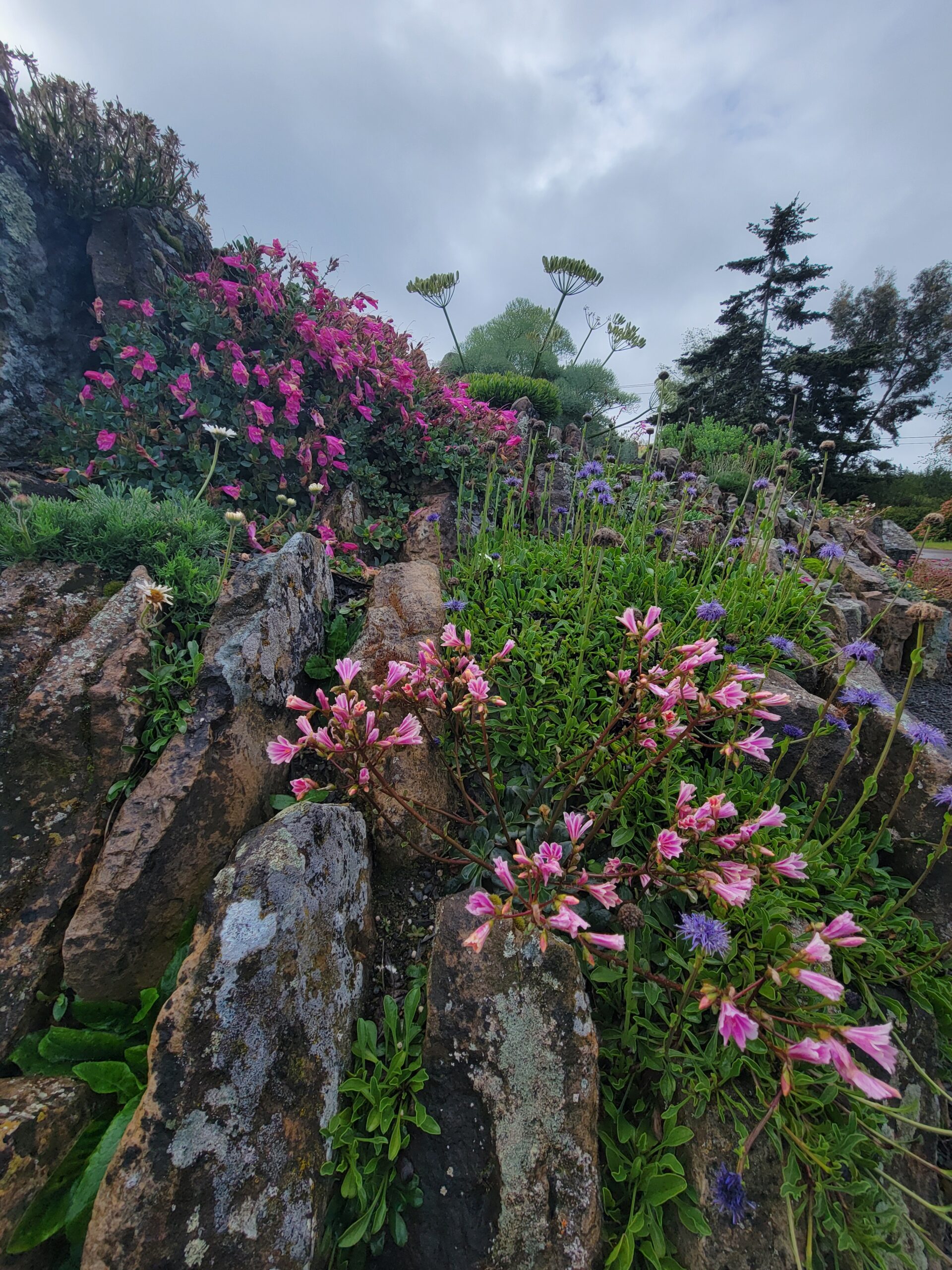 2026 Far Reaches Botanical Conservancy Tour