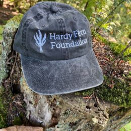 Hardy Fern Foundation New Hats