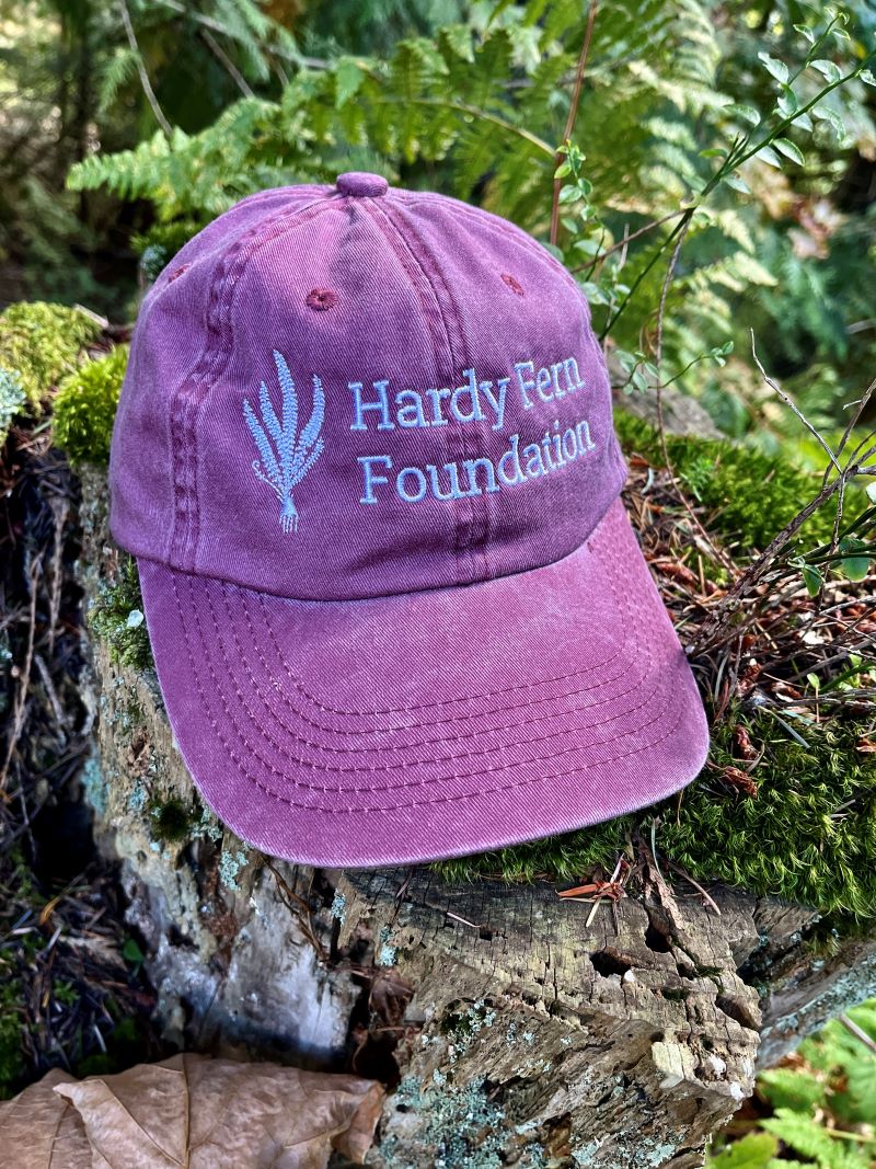 Hardy Fern Foundation New Hats - Image 5