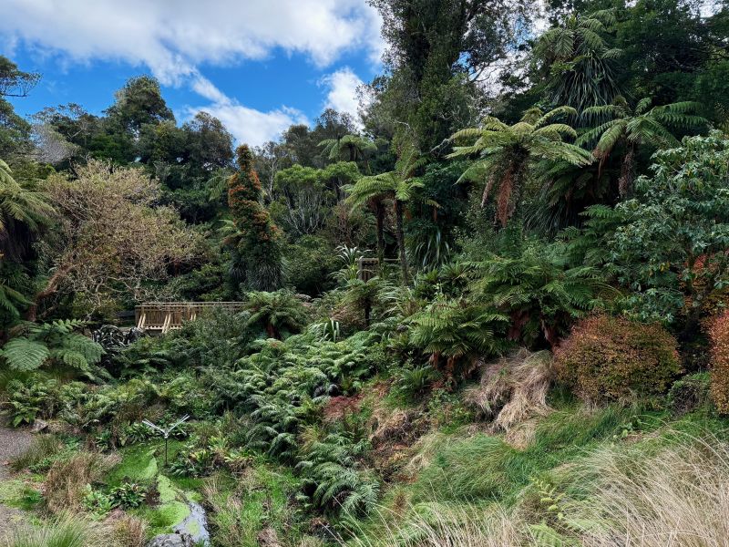 Pukeiti New Zealand image