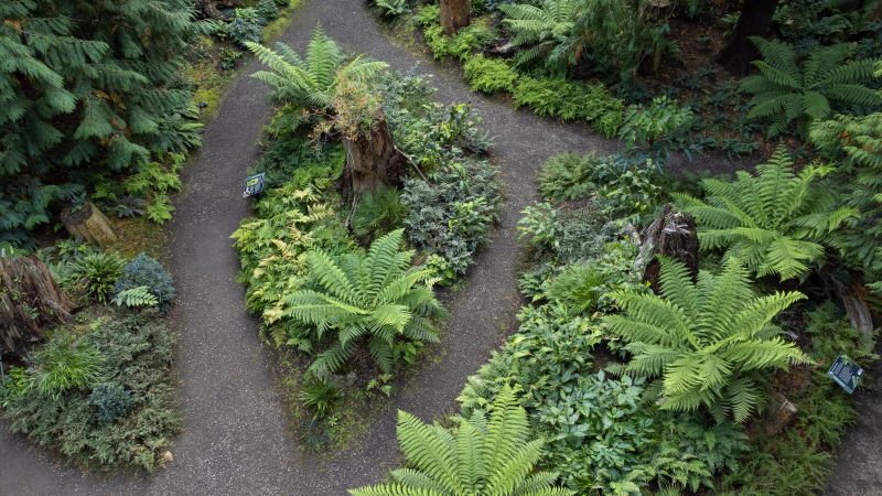 Fern Study Day at Heronswood with the Hardy Fern Foundation