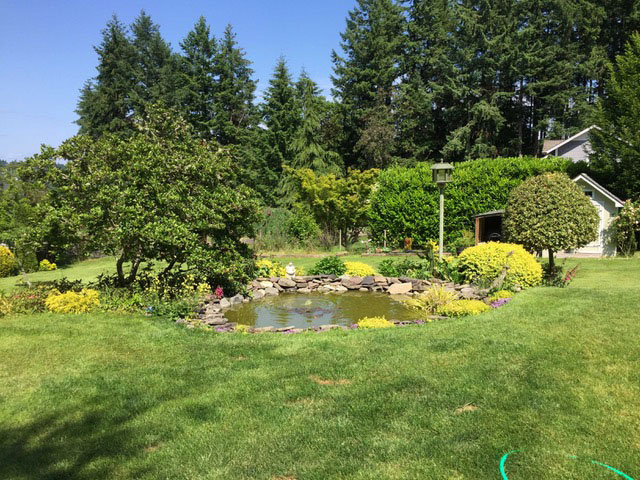 Overview of the garden of Sally Cross