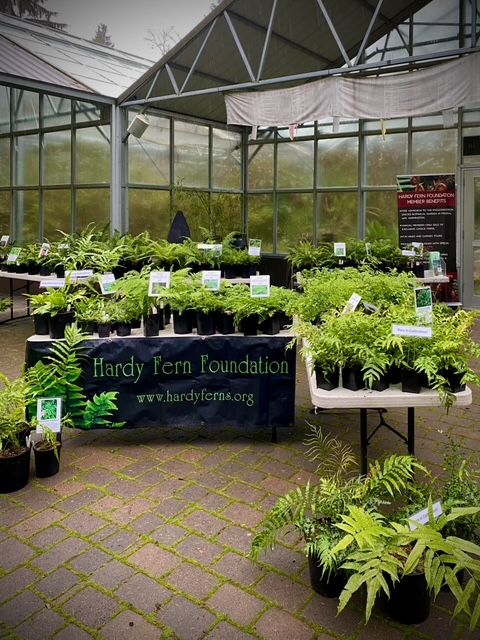 HFF Pop-Up Sale at the RSBG