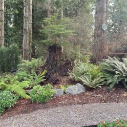 Fox Island Garden Tour 2026