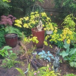 West Seattle Garden Tour