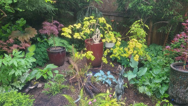 West Seattle Garden Tour